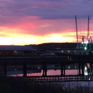 Meet your Posher, Judy